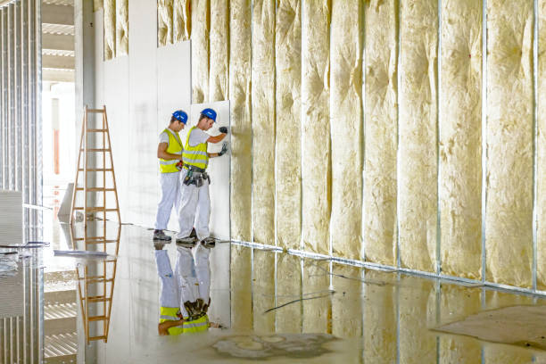 Types of Insulation We Offer in South Burlington, VT